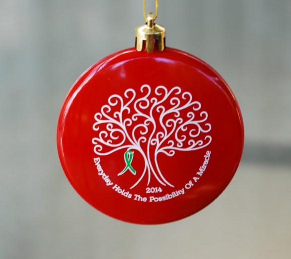 2014 Hope Ornament